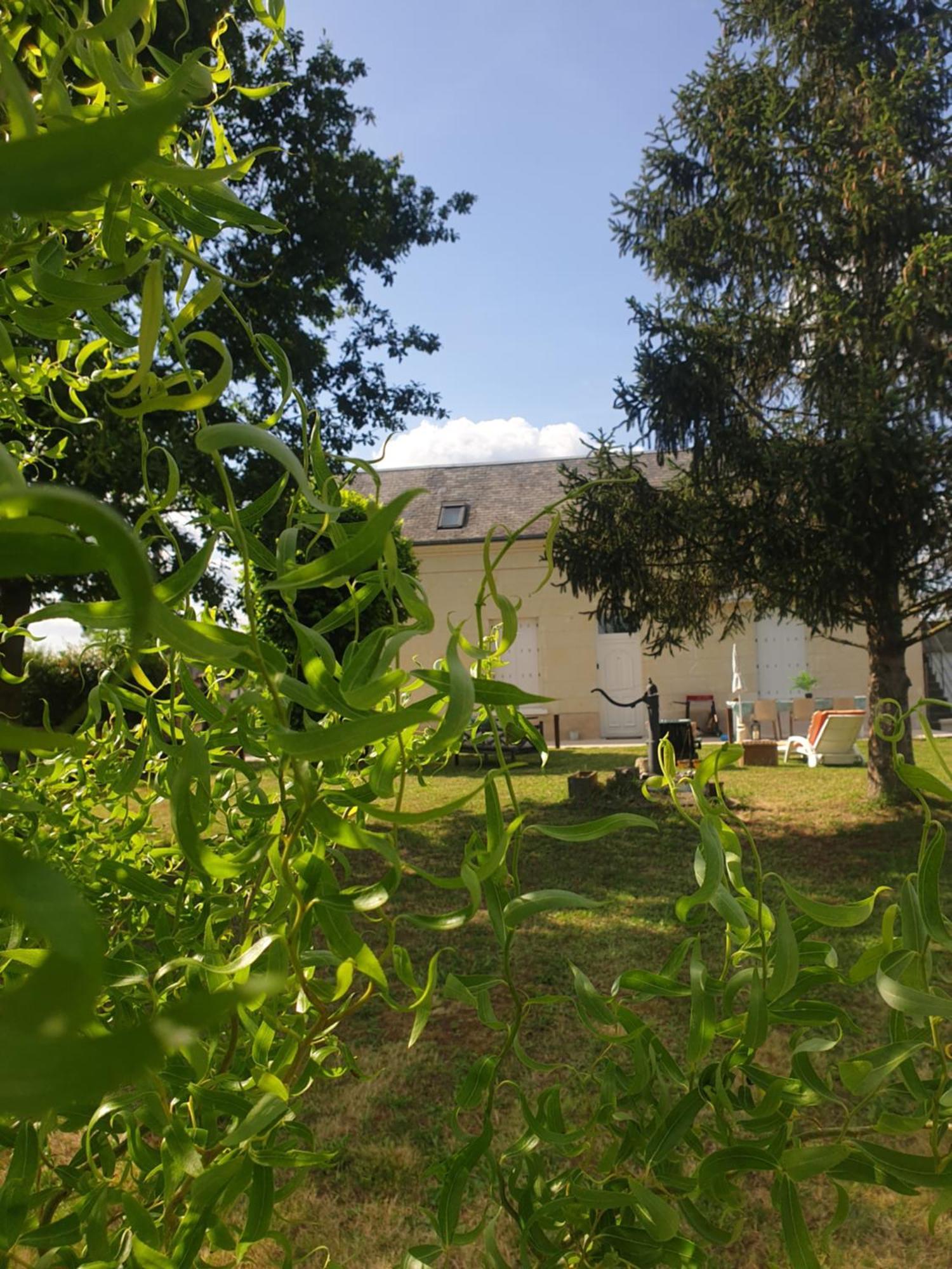 Gite Au Coeur De La Touraine La Chapelle-sur-Loire Luaran gambar