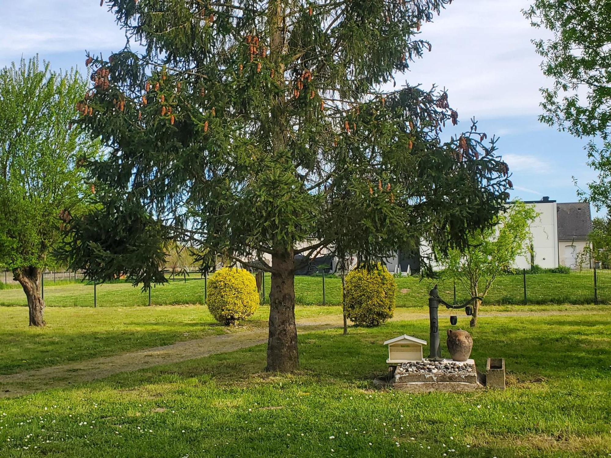 Gite Au Coeur De La Touraine La Chapelle-sur-Loire Luaran gambar